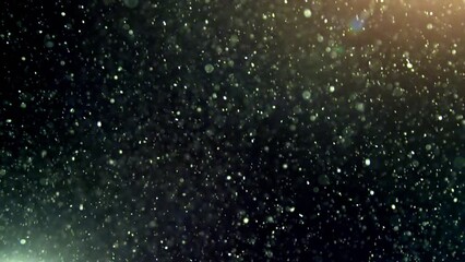 Wall Mural - Abstract background with animation of flying and flickering particles as bokeh of light. Animation of seamless loop.Dust bubbles snow animation.Bokeh Shiny Particles Loop Animation.