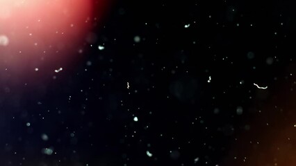 Wall Mural - Abstract background with animation of flying and flickering particles as bokeh of light. Animation of seamless loop.Dust bubbles snow animation.Bokeh Shiny Particles Loop Animation.