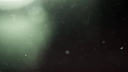 Wall Mural - Abstract background with animation of flying and flickering particles as bokeh of light. Animation of seamless loop.Dust bubbles snow animation.Bokeh Shiny Particles Loop Animation.