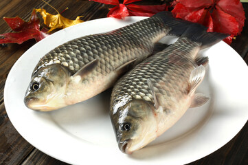 Poster - Raw fish carp on white background 