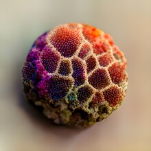 Colorful Surialistic Abstract Microphotography Porous Leggy Branchy Spherical Coral Texture Pattern Photorealistic 2d Albedo Flat Map 8k 