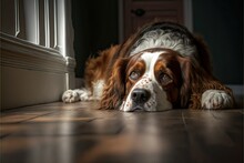 Dog Portrait Lying On Floor (ai Generated)