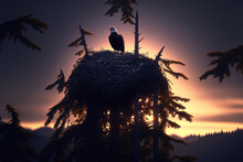 Silhouette Of A Tree Of Eagle Perched On Side At Nest Generative AI