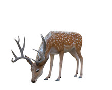 3d Render  Deer Faun Winter Creature