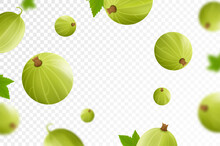Flying Gooseberry, Isolated On Transparent Background. Flying Gooseberry With Blurry Defocused Effect. Can Be Used For Advertising, Packaging, Banner, Poster, Print. Realistic 3d Vector Design