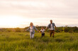© Angelov - Happy family in the park evening light. The lights of a sun. Mom, dad and baby happy walk at sunset. The concept of a happy family