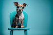 © VICHIZH - Dog sitting on a chair with glasses on a blue background, zoo psychologist, behavioral correction of dogs, kinologist.  generative AI