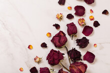 Dried Red  Roses On Marble Background