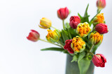 Fototapeta Tulipany - Bouquet of beautiful terry tulips yellow and red in vase on white background