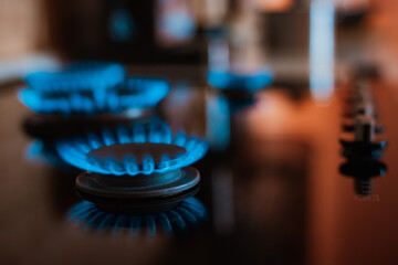 Wall Mural - Modern kitchen stove cook with blue flames burning.