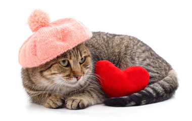 Sticker - Kitten in a pink beret with a red heart.