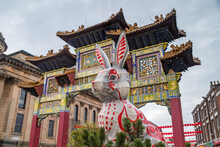Year Of The Rabbit Celebrations