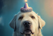Portrait von einer Hund mit Partyhut und Geburtstagstorte am Geburtstag feiern vor pastellfarbenen Hintergrund - Generative Ai