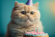 Portrait von einer Katze mit Partyhut und Geburtstagstorte am Geburtstag feiern vor pastellfarbenen Hintergrund - Generative Ai
