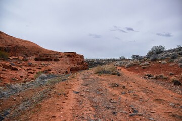 Wall Mural - Chuckawalla and Turtle Wall trail desert hiking views Cliffs National Conservation Area Wilderness, Snow Canyon State Park St George, Utah, United States.