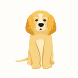 Fototapeta Psy - A beige dog sits and looks ahead. Realistic. Vector stock illustration. isolated. The animal is domestic. Animal. Zoo.
