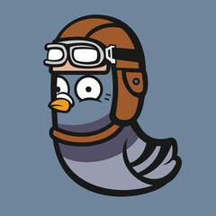 funny aviator pigeon