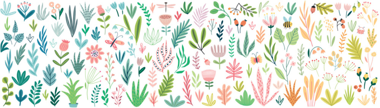 Fototapete - Floral elements big collection - leaves, plants, flowers. Cute hand drawn style.