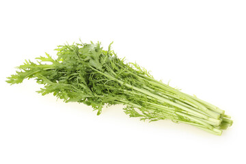 Wall Mural - Fennel bunch on white background