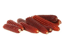 Red Corn Collection