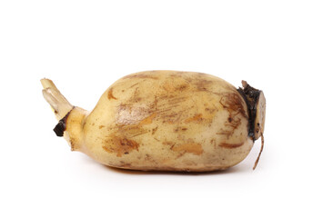 Poster - Lotus root on the white background