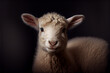 Portrait of a baby lamb on a black background. generative ai