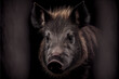 Portrait of a wild hog on a black background. generative ai