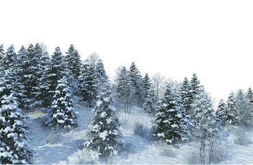 Sticker - 3D render forest and nature in winter