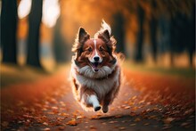 Dog Running In Autumn Park Photography, Pet Happy Walk (Ai Generated)
