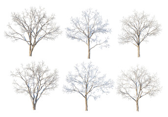 Wall Mural - 3D render forests and nature during winter