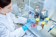 © Westend61 - Female scientist testing in a microbiological lab