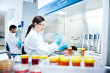 Female Scientist Testing In A Microbiological Lab
