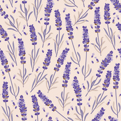 Wall Mural - Vector seamless pattern with high detail lavender