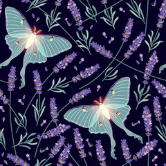 Wall Mural - Dry lavender and moon moth vector seamless pattern