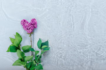 Wall Mural - Valentine's Day card with bouquet of lilacs on paper background. Symbolic heart.