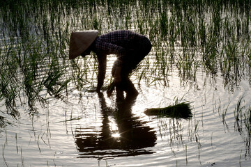 Sticker - Daily life in Asia. Vietnam.