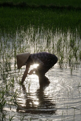 Poster - Daily life in Asia. Vietnam.