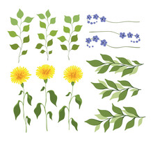 Set With Wild Plants: Hand Drawn Small Wildflowers On Twigs, Large Yellow Dandelion Flowers, Various Leaves And Herbs. Collection With European Botany Isolated On White Background. Vector Illustration