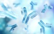 © ustas - Antibodies, blood plasma globular proteins,  background antibodies, banner,  immunoglobulin, 3d rendering