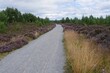 A sandy path through the heather in summer on the outskirts of Aviemore