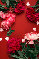 Wall Mural - Festive frame with peonies and hearts on a red background. Valentine's day, Women's day, Mother's day greeting card