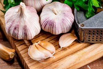 Wall Mural - Garlic with parsley on a wooden cutting board.