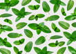 Mint leaves pattern. Fresh green leaves of mint, peppermint, lemon balm, melissa isolated on gray background. Creative food concept. Ingredient for tea, aroma oil, extract for cosmetics