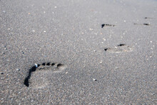Delicate footprints in the black sand