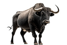 Angry Black Bull On A Transparent Background, Generative Ai