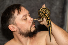 Portrait Of Caucasian Man With Python Regius Snake On Gray Background. Selective Focus. High Quality Photo