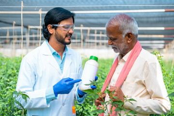 agro scientist at greenhouse explaining by hoilding fertilizer or pest control bottle to village farmer - concpet of advice, guidance and support