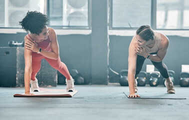 Sticker - Gym floor, health and training woman doing arm plank exercise, performance workout or core muscle building. Body self care, commitment and wellness for team, people or friends fitness class ground