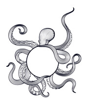 Octopus Holding Sphere With Tentacles, Hand Drawn Vector Illustration In Engraving Technique Isolated On White Background