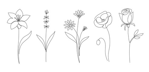 Flower set continuous outline style. Decoration flower, botanical floral element, blossom one line art for wedding, spring concept background. Vector illustration